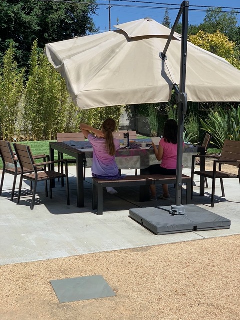 Ellie goes over to Vibha's, where they paint outdoors
