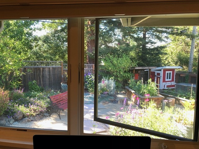 I love the view out of Ellie's window