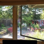 IMG_0308.jpeg