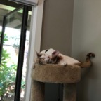 IMG_0322.jpeg