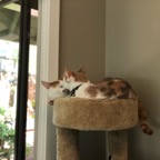 IMG_0325.jpeg