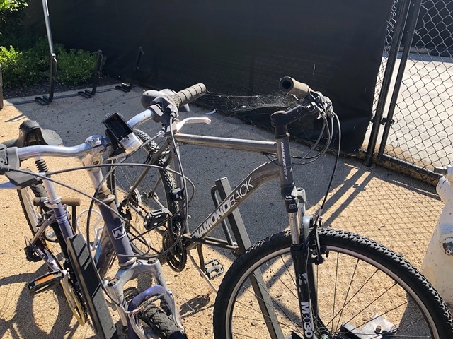 Students had left without their bikes in spring of 2020.  Lots of cobwebs