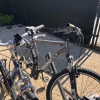 IMG_0350.jpeg
