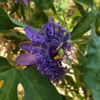 IMG_0362.jpeg