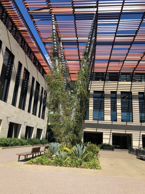 It's a beautiful courtyard