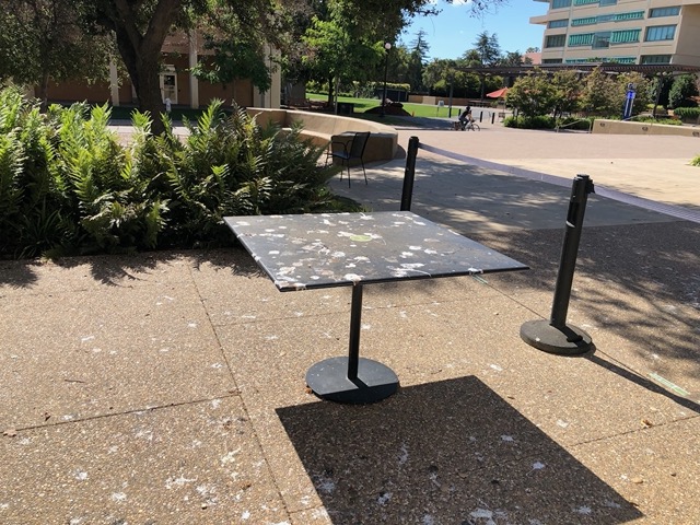 The slats of the shade structure are perfect perches for large birds, which make large poops.  Oops