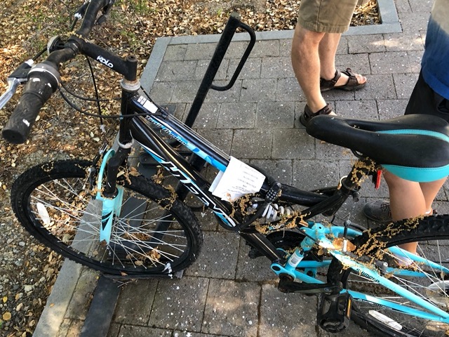 Another bike left behind in 2020