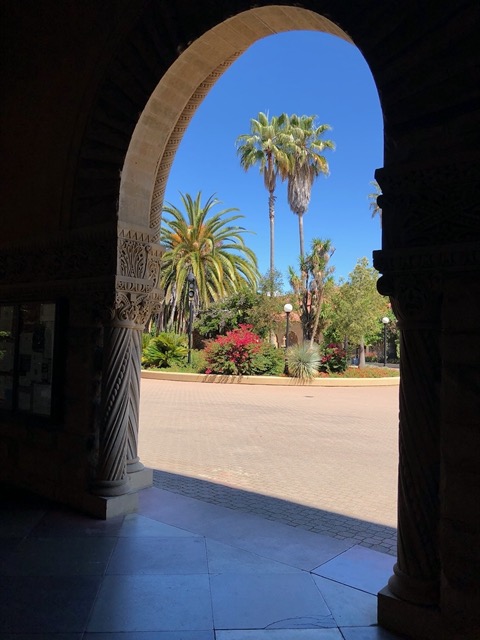 Quad palms framed by the arcade