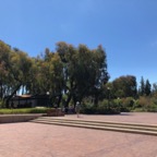 IMG_0404.jpeg