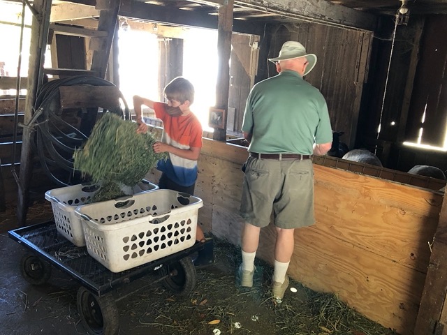 Grandpa Mark helps with the chores