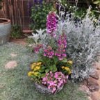 IMG_0427.jpeg