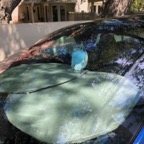 IMG_0428.jpeg