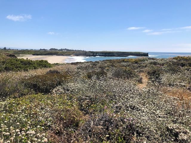 Beautiful views over the ocean