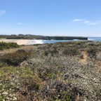 IMG_0440.jpeg