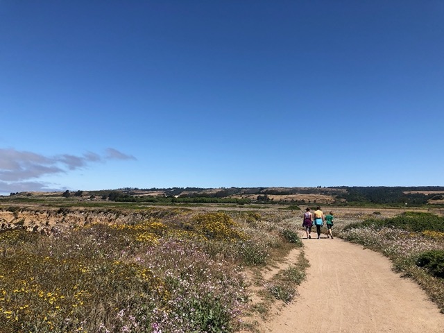 I like this one, with the three kids walking together
