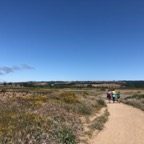 IMG_0449.jpeg