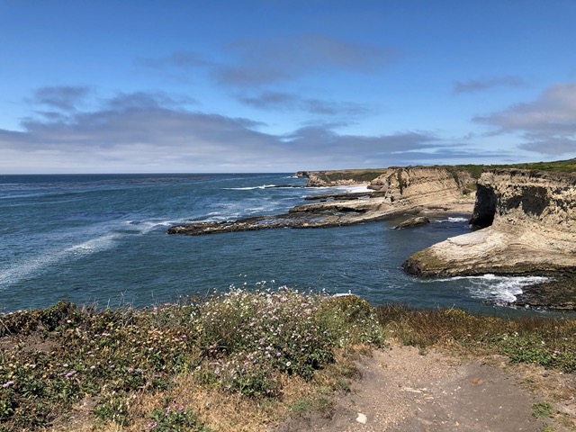 Seals down on the flat rock