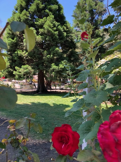 I love strolling around the grounds