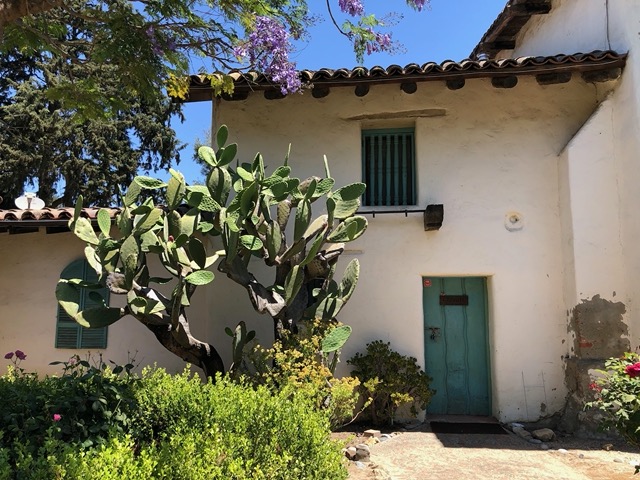 Door facing the garden, with giant cactus