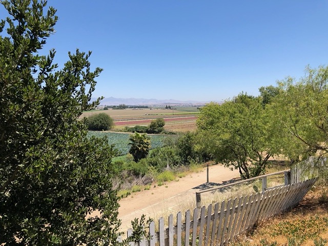 View beyond the mission grounds