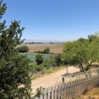 IMG_0482.jpeg
