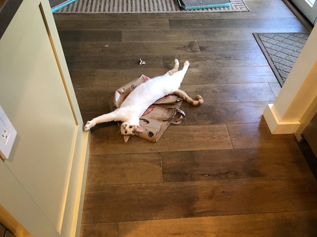 Big stretch on a brown paper bag