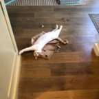 IMG_0509.jpeg