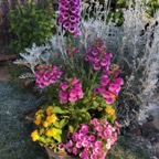 IMG_0512.jpeg