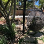 IMG_0586.jpeg