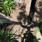 IMG_0589.jpeg