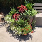 IMG_0590.jpeg