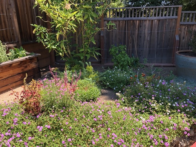 The sun-shade area