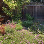 IMG_0592.jpeg