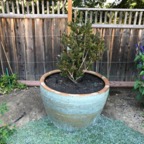 IMG_0593.jpeg