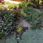 IMG_0594.jpeg