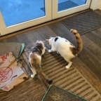 IMG_0606.jpeg