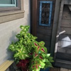 IMG_0611.jpeg