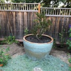 IMG_0616.jpeg