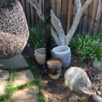 IMG_0666.jpeg