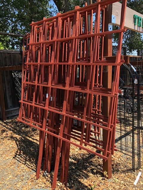 I looked at lots of trellises for the morning glory vine
