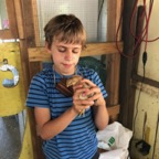IMG_0689.jpeg