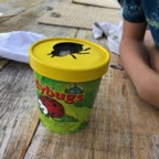 IMG_0703.jpeg