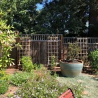 IMG_0708.jpeg