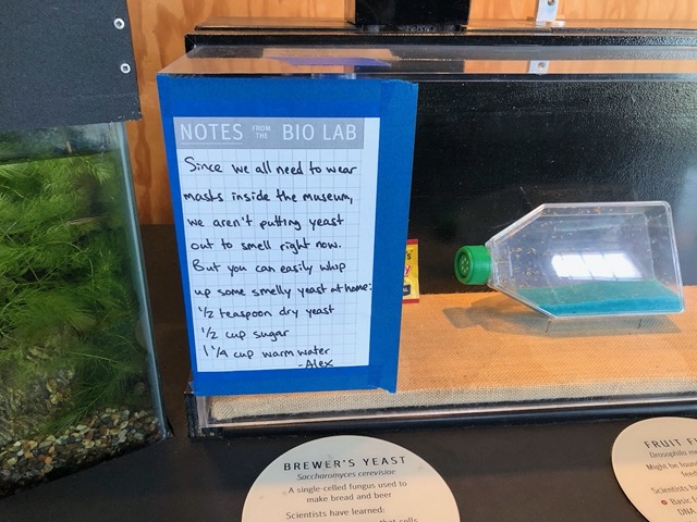 Another pandemic note