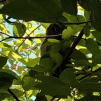 IMG_0743.jpeg