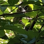 IMG_0744.jpeg