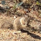 IMG_0782.jpeg