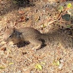 IMG_0783.jpeg