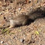 IMG_0784.jpeg