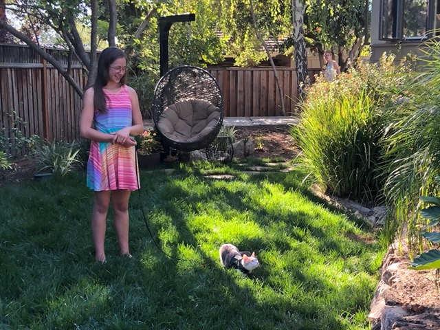 Ellie walking Cricket
